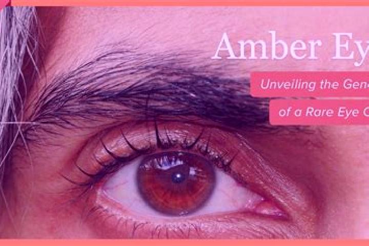 Stella, 35, a red amber-eyed slavic companion based in Los Naranjos. Offering GFE, Massage. Available for incall and outcall, overnight bookings available.