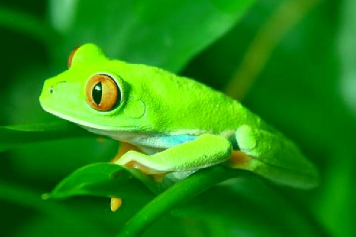Stella, 35, a red green-eyed caribbean companion based in Trigaches. Offering Overnight, Fetish, 69, Roleplay. Available for incall and outcall, day and even...