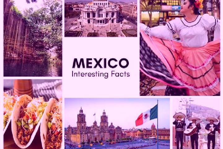 Stella, 35 — Escort in Cherato, Mexico