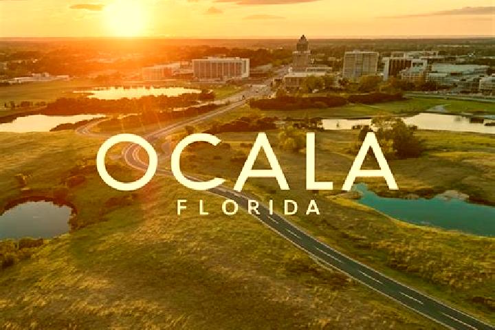 Stella, 35 — Escort in Ocala, United States
