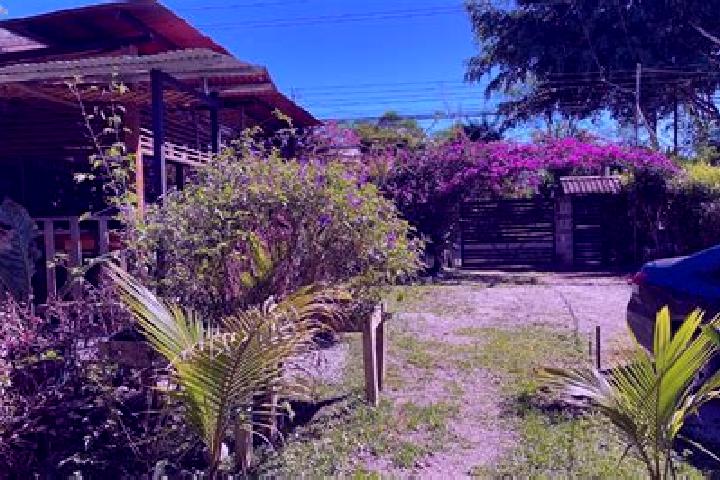 Stella, 35 — Escort in Sabalito, Costa Rica