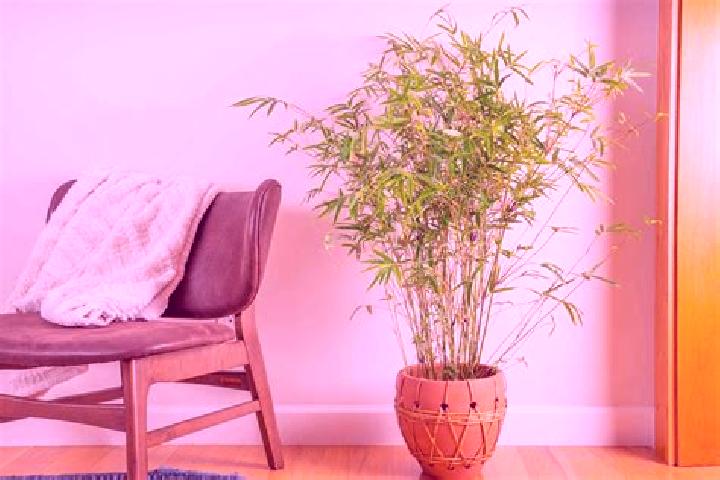 Stella, 35 — Escort in Sanmu, Japan