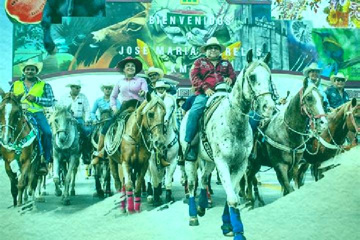 Stella, 35 — Escort in Tamazula, Mexico