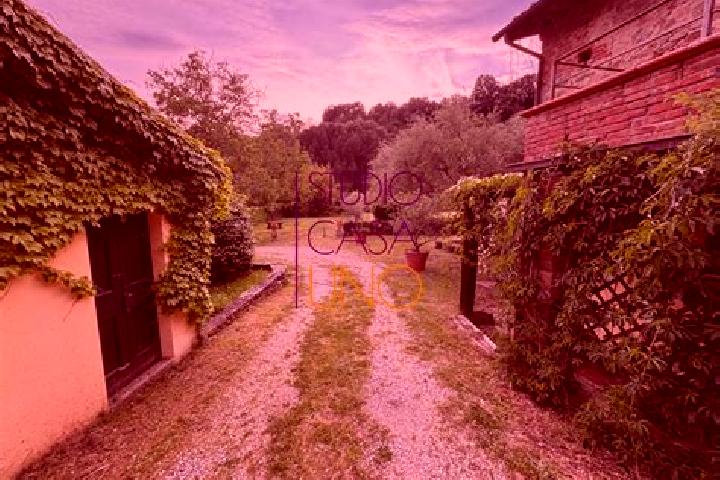 Stella, 35 — Escort in Terranuova Bracciolini, Italy
