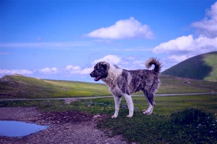 Stella, 36, a black grey-eyed caucasian companion based in Zorritos. Offering CIM, Travel Companion, Tantra. Available for incall and outcall, overnight book...