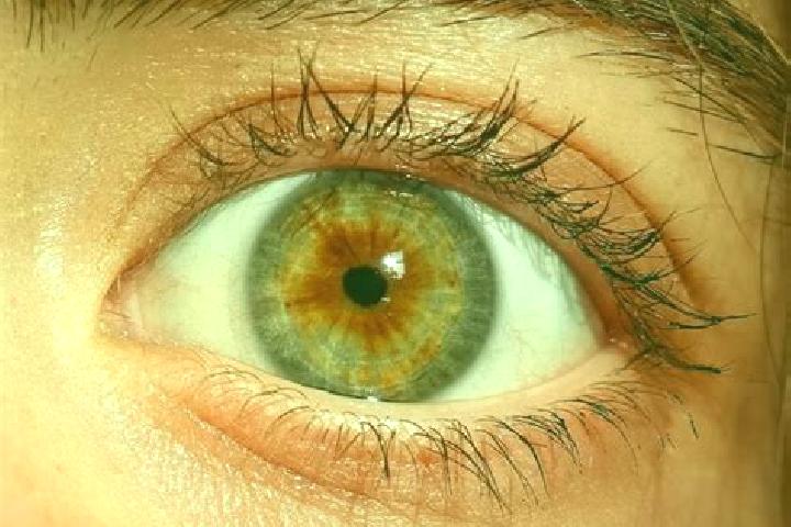 Stella, 36, a red hazel-eyed mediterranean companion based in Colonia do Piaui. Offering Domination, Roleplay, 69. Available for incall and outcall, overnigh...