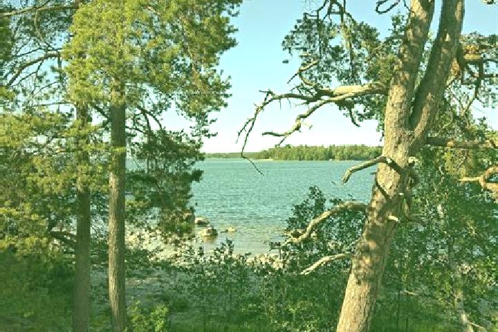 Stella, 36 — Escort in Askisto, Finland