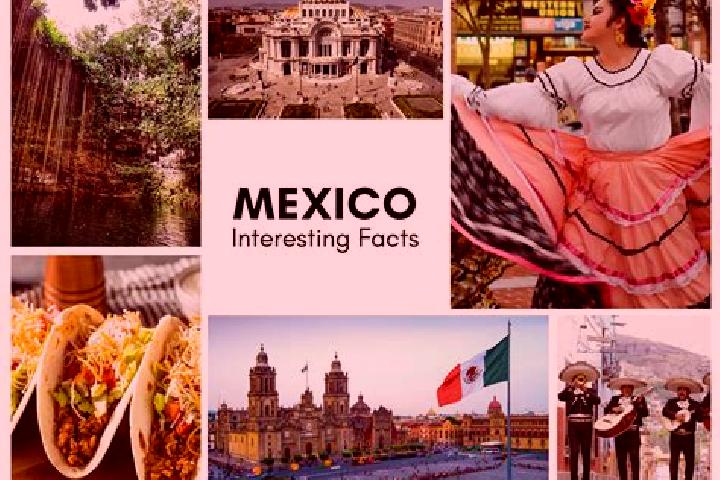 Stella, 36 — Escort in Canada Grande, Mexico