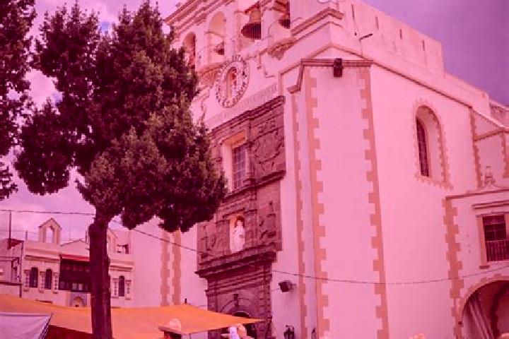 Stella, 36 — Escort in Santa Maria Texmelucan, Mexico