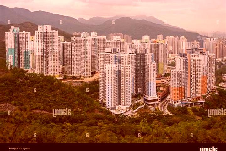 Stella, 36 — Escort in Shui Chuen O, Hong Kong
