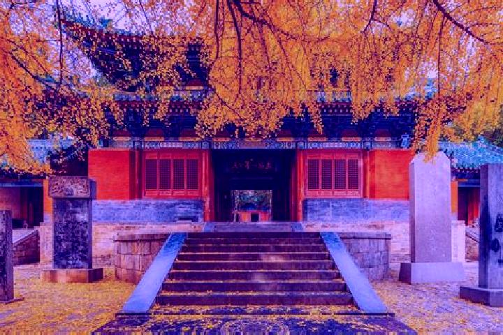 Stella, 36 — Escort in Taishang, China