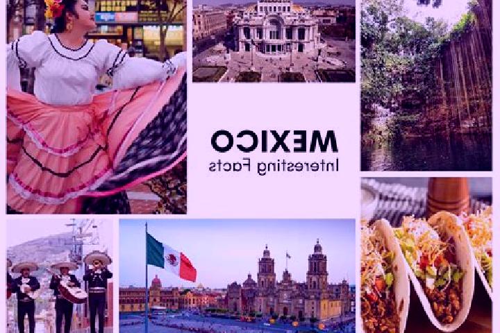 Stella, 36 — Escort in Toboloto, Mexico