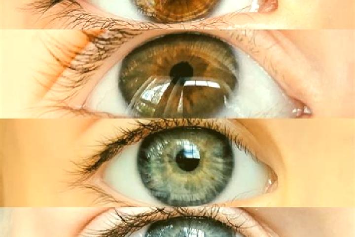 Stella, 37, a chestnut brown-eyed mixed companion based in Elati. Offering Striptease, Fetish, OWO. Available for incall and outcall, overnight bookings avai...
