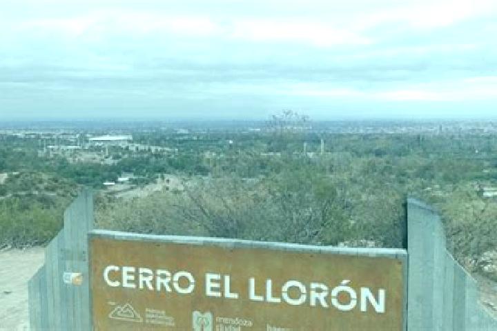Stella, 37 — Escort in Cerro Lloron, Mexico