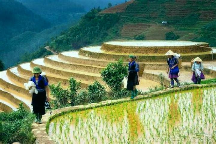 Stella, 37 — Escort in Huu Lung, Vietnam