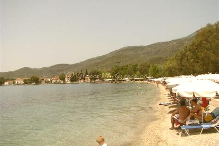 Stella, 37 — Escort in Kala Nera, Greece