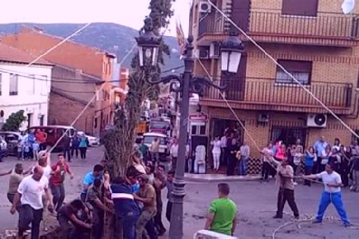 Stella, 37 — Escort in Puebla de Don Rodrigo, Spain