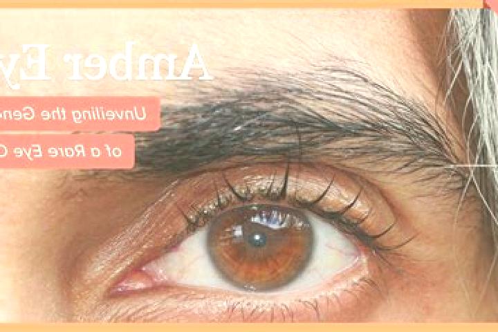Stella, 38, a black amber-eyed indian companion based in Juazeiro do Piaui. Offering Erotic Massage, Fetish, A-Level, CIM. Available for incall and outcall, ...