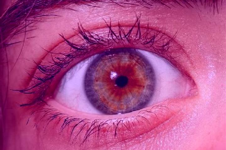 Stella, 38, a red hazel-eyed mediterranean companion based in Teegalpahad. Offering BDSM, Fetish, Domination. Available for incall and outcall, day and eveni...