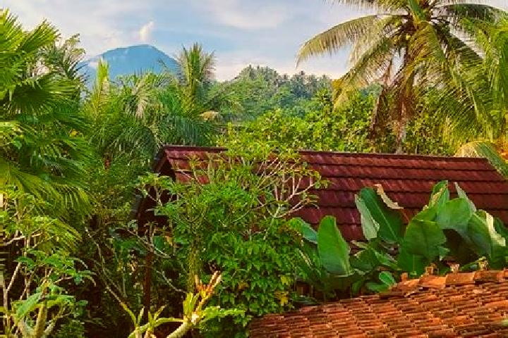 Stella, 38 — Escort in Bajera, Indonesia