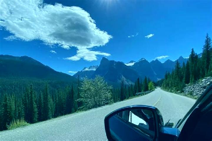 Stella, 38 — Escort in Blair Road, Canada