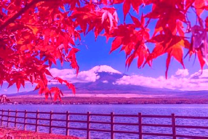 Stella, 38 — Escort in Kitami, Japan