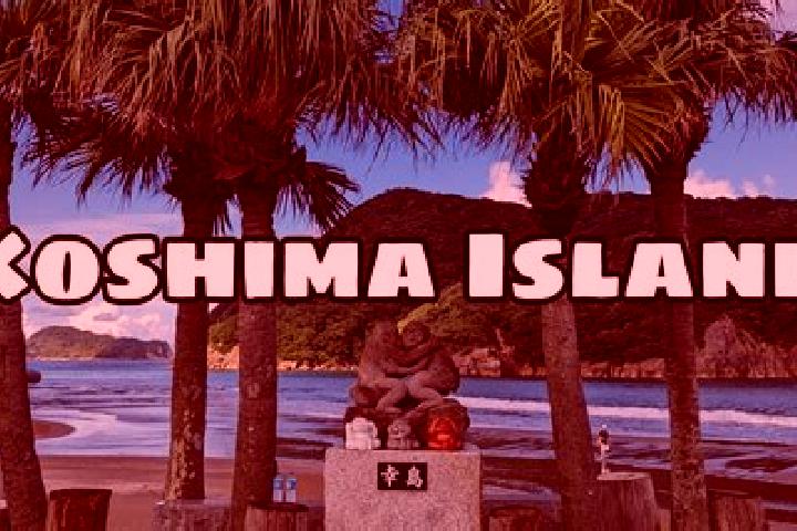 Stella, 38 — Escort in Koshima, Japan