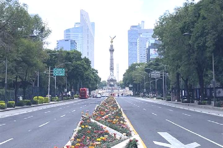 Stella, 38 — Escort in La Reforma, Mexico