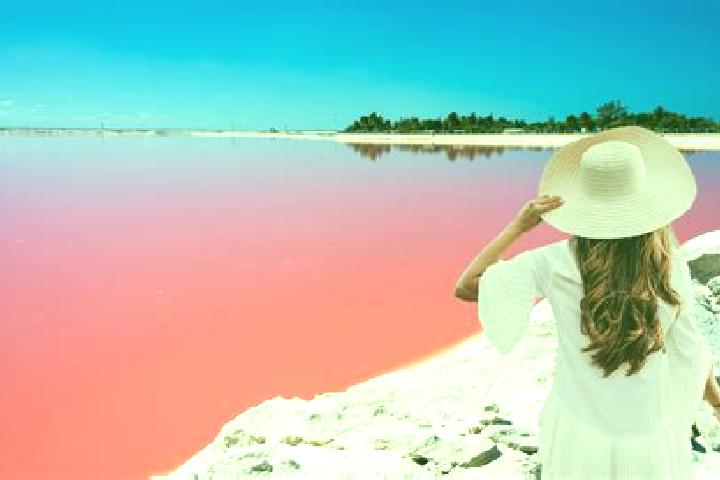 Stella, 38 — Escort in Las Coloradas, Mexico