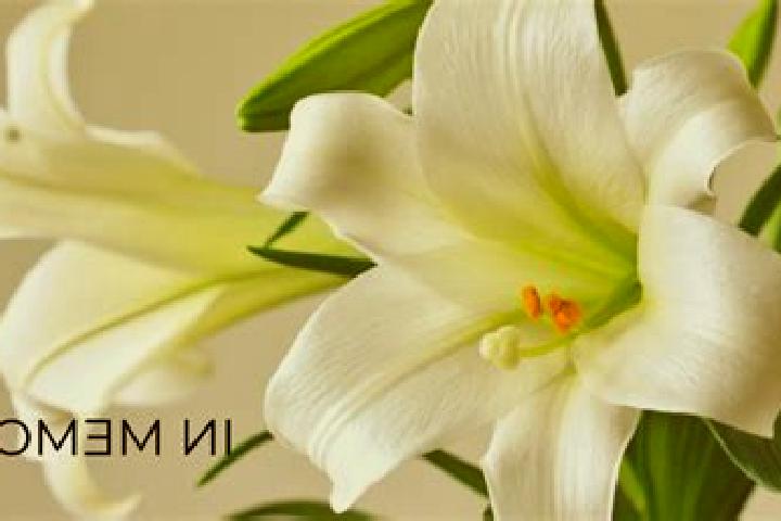 Stella, 38 — Escort in Numaran, Mexico