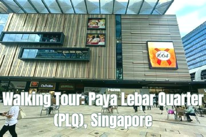 Stella, 38 — Escort in Paya Lebar, Singapore