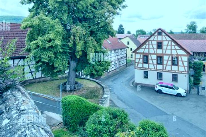 Stella, 38 — Escort in Suelzfeld, Germany