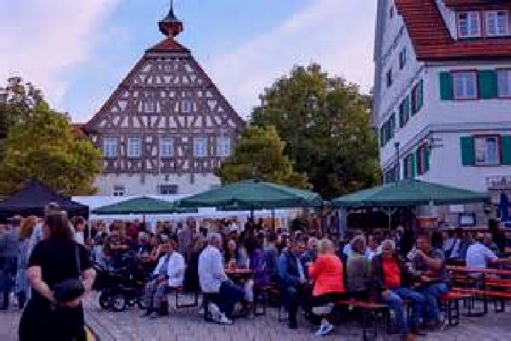 Stella, 39 — Escort in Alfdorf, Germany