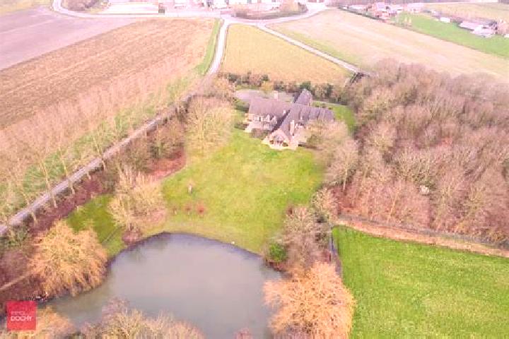 Stella, 39 — Escort in Ardooie, Belgium