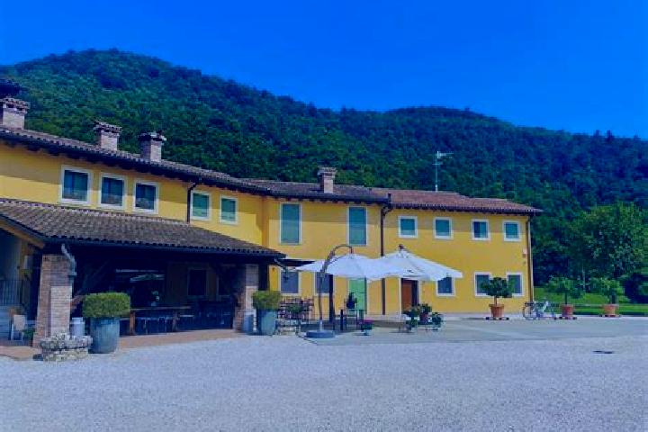 Stella, 39 — Escort in Castelgomberto, Italy