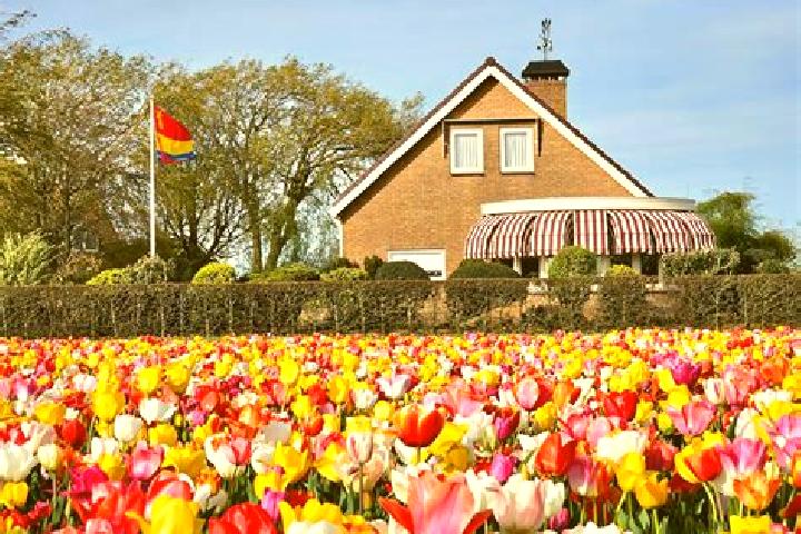 Stella, 39 — Escort in De Glip, Netherlands