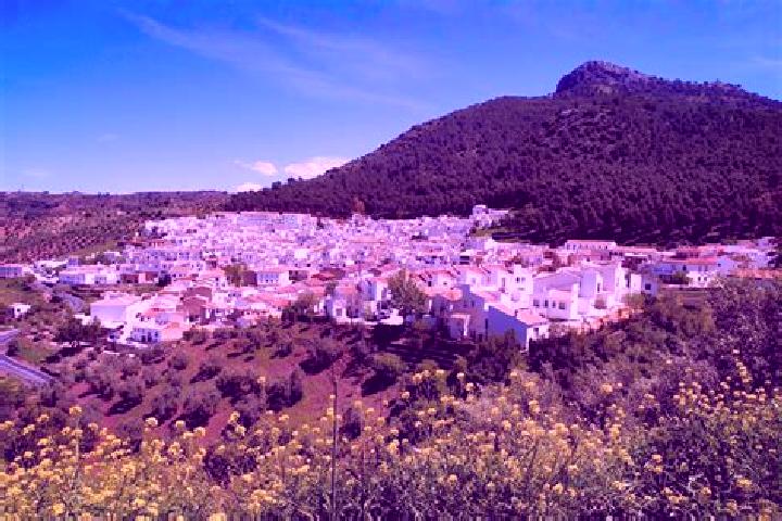 Stella, 39 — Escort in El Gastor, Spain