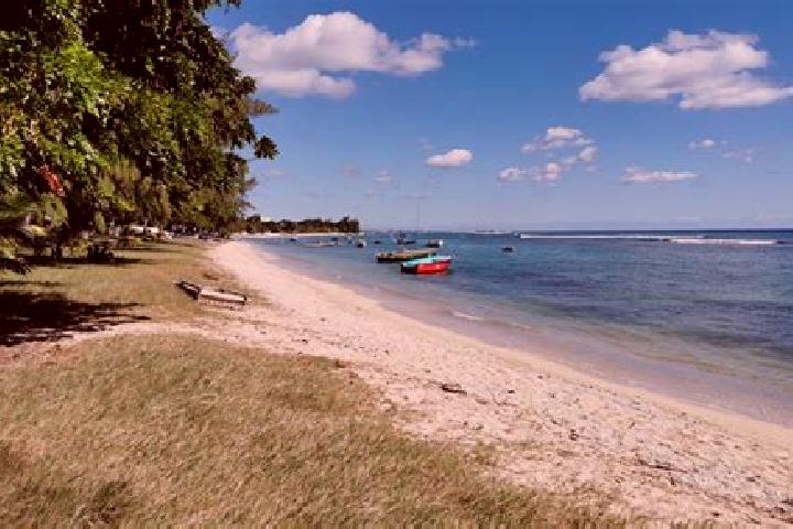 Stella, 39 — Escort in Pointe aux Piments, Mauritius