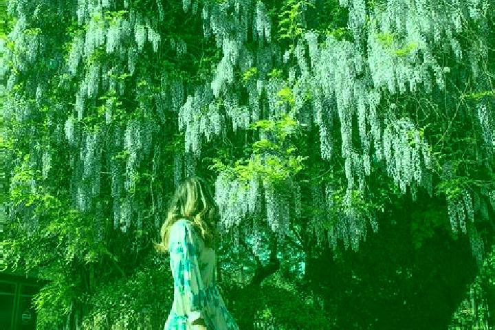 Stella, 39 — Escort in Schitu Scoicesti, Romania