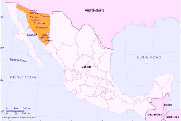 Victoria, 20 — Escort in Guadalupe Nogales, Mexico