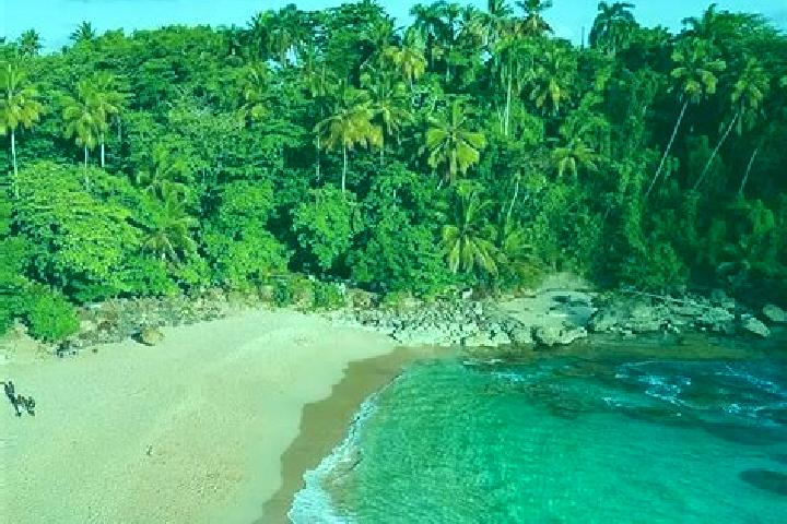 Victoria, 20 — Escort in Rio Grande, Dominican Republic
