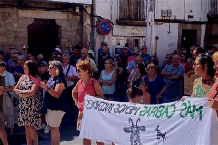 Victoria, 20 — Escort in Torre de Don Miguel, Spain