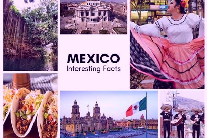 Victoria, 20 — Escort in Tutuaca, Mexico