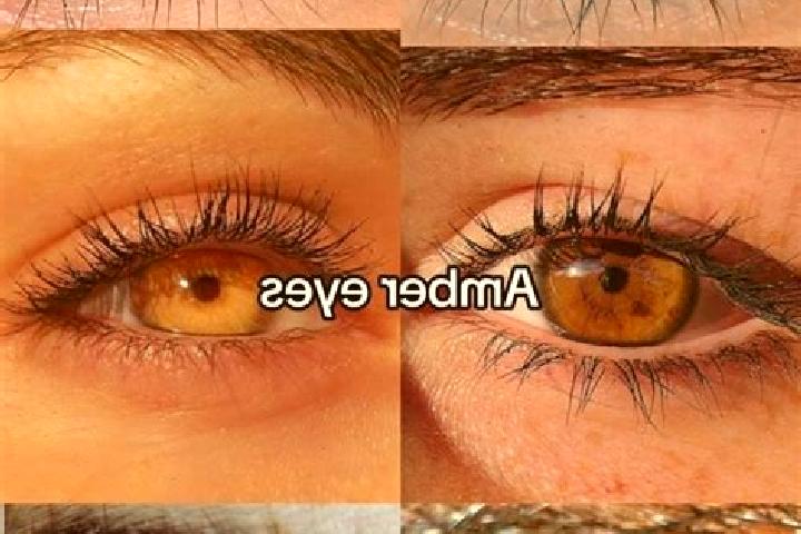 Victoria, 21, a brunette amber-eyed slavic companion based in Chunchintok. Offering CIM, Erotic Massage, BDSM, Travel Companion, OWO. Available for incall an...