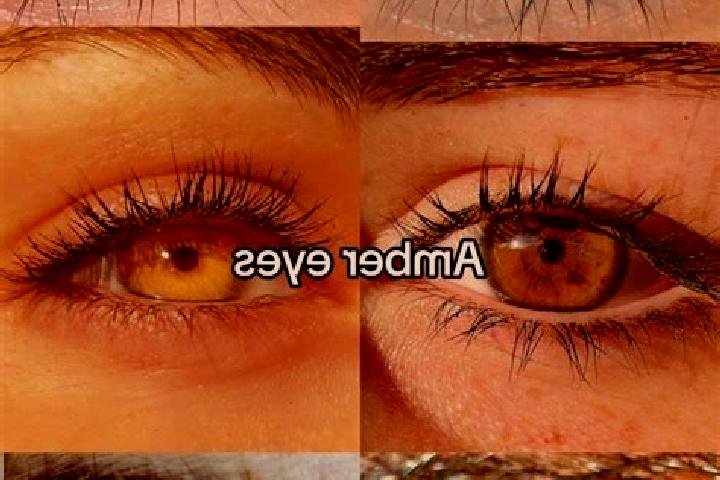 Victoria, 21, a chestnut amber-eyed middle eastern companion based in Xuyen Moc. Offering Travel Companion, Massage, A-Level. Available for incall and outcal...