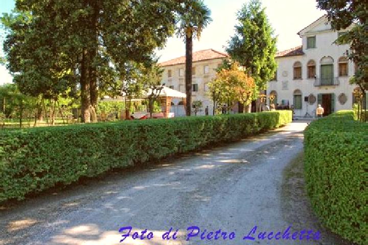 Victoria, 21 — Escort in Fossalta di Piave, Italy