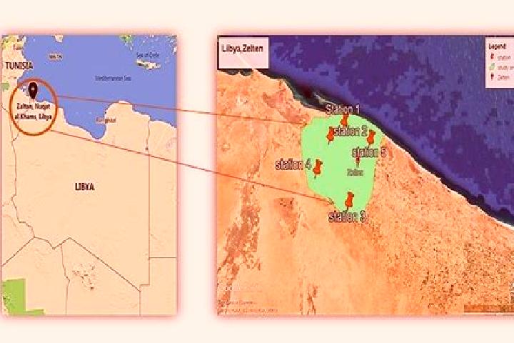 Victoria, 21 — Escort in Zaltan, Libya