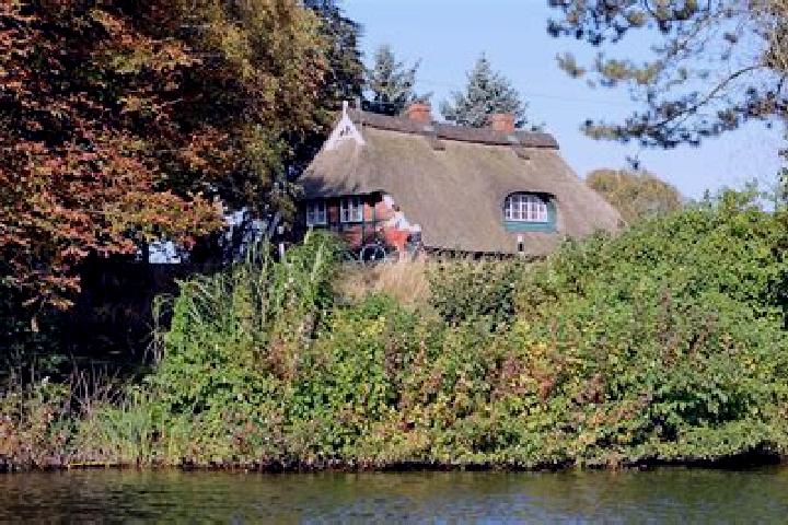 Victoria, 22 — Escort in Allermoehe, Germany