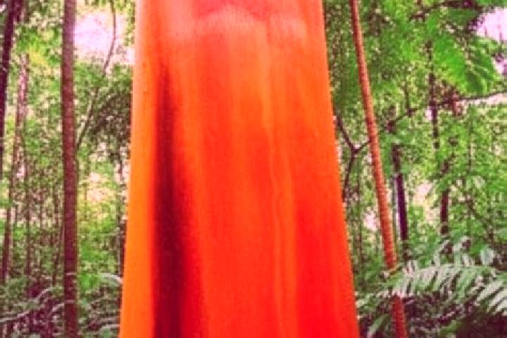 Victoria, 22 — Escort in Brauna, Brazil