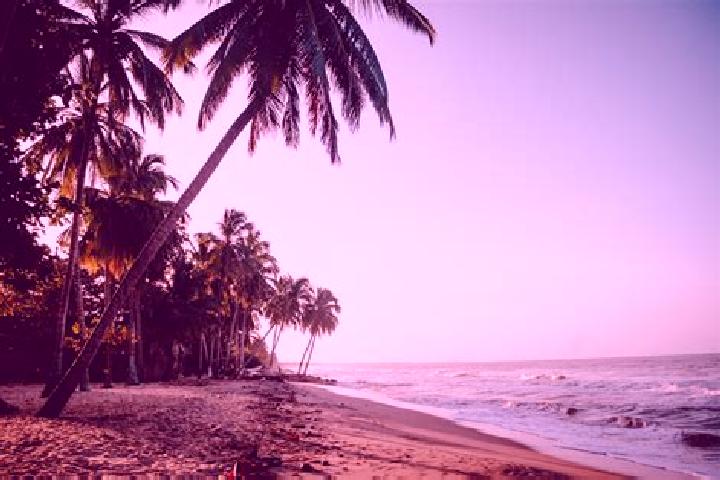 Victoria, 22 — Escort in Dibulla, Colombia